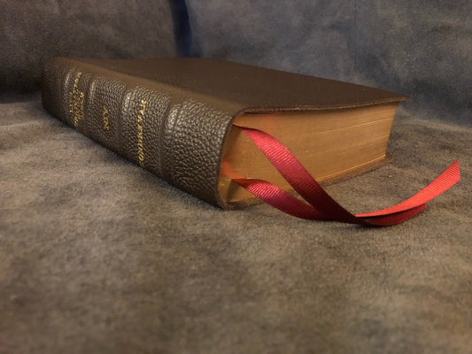NIV LIFE APPLICATION STUDY BIBLE