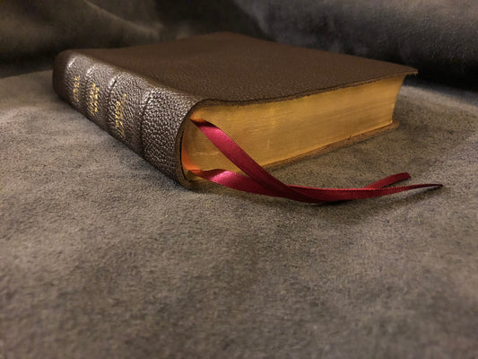 NASB 2020 Wide Margin Reference Bible